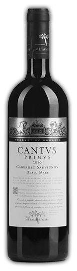 vitis