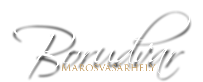 logo2_big